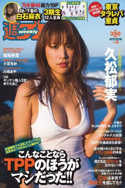 尘缘电视剧免费观看完整版